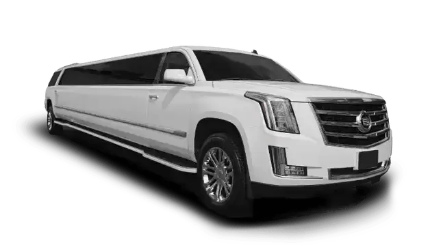 Limousines luxury fleet